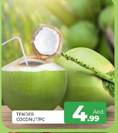 Coconut available at المدينة in الإمارات العربية المتحدة , الامارات - الشارقة / عجمان