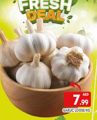 Garlic available at المدينة in الإمارات العربية المتحدة , الامارات - دبي
