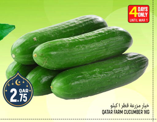 Cucumber from Qatar available at Food Palace Hypermarket in Qatar - Doha