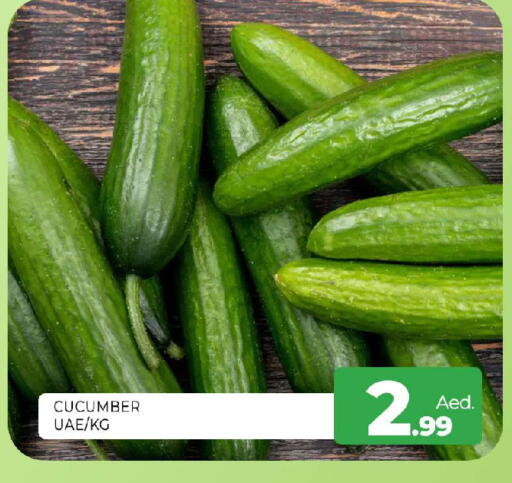 Cucumber available at المدينة in الإمارات العربية المتحدة , الامارات - الشارقة / عجمان