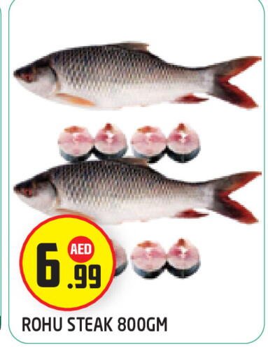 available at سنابل بني ياس in الإمارات العربية المتحدة , الامارات - أبو ظبي