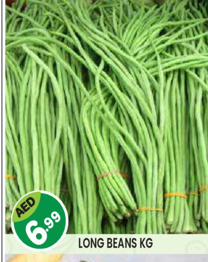 available at Baniyas Spike  in UAE - Umm al Quwain