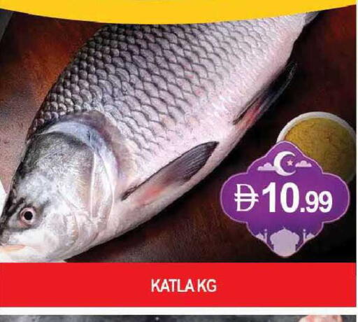 available at المدينة in الإمارات العربية المتحدة , الامارات - دبي