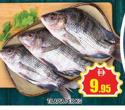 available at المدينة in الإمارات العربية المتحدة , الامارات - دبي