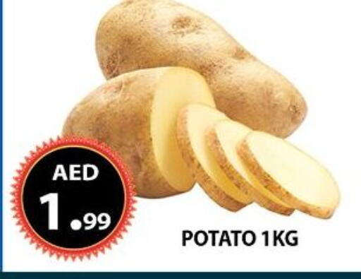 Potato available at مركز الوحدة للتخفيضات in الإمارات العربية المتحدة , الامارات - الشارقة / عجمان