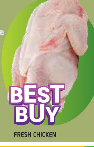 available at سنابل بني ياس in الإمارات العربية المتحدة , الامارات - أبو ظبي