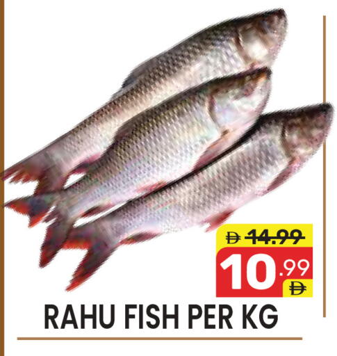 available at دريم نايت هايبرماركت in الإمارات العربية المتحدة , الامارات - دبي