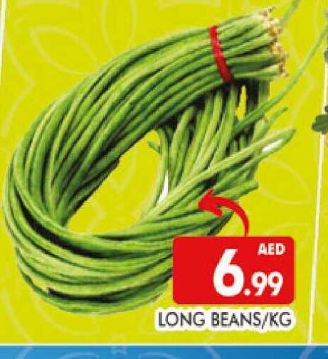 available at المدينة in الإمارات العربية المتحدة , الامارات - دبي