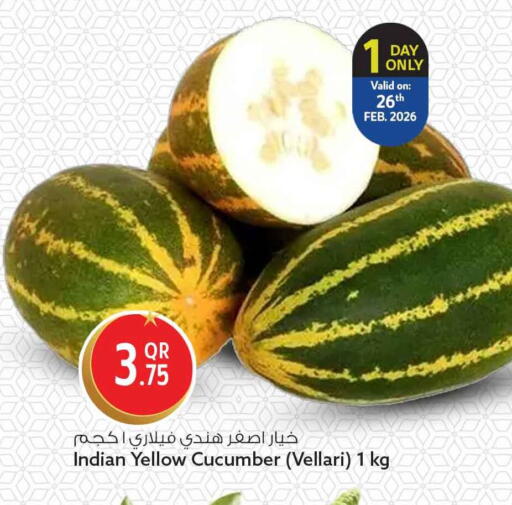 Cucumber from India available at Safari Hypermarket in Qatar - Al Wakra