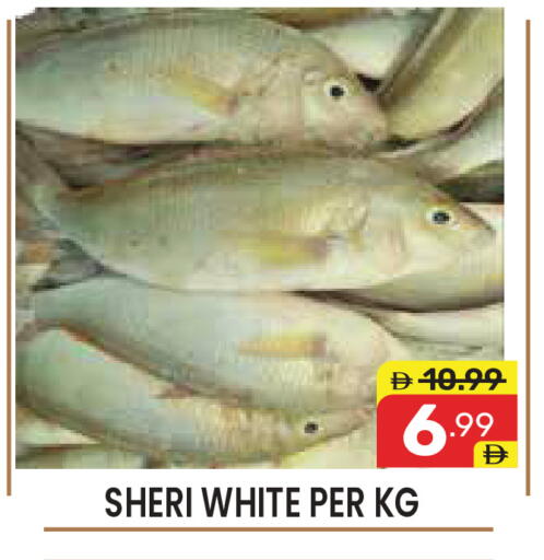 available at دريم نايت هايبرماركت in الإمارات العربية المتحدة , الامارات - دبي