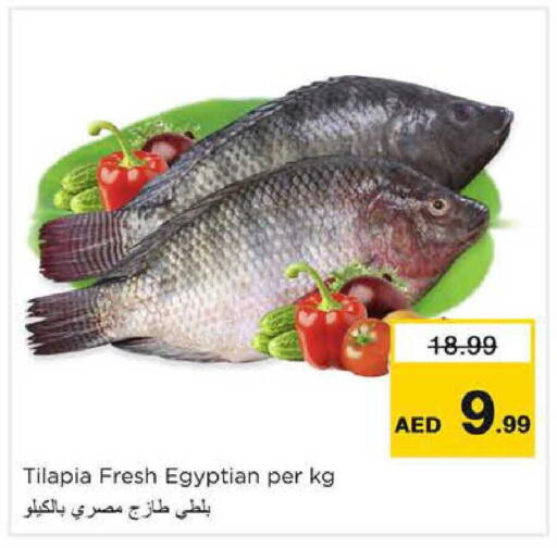 available at نستو هايبرماركت in الإمارات العربية المتحدة , الامارات - الشارقة / عجمان