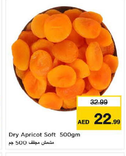 Apricot available at لاست تشانس in الإمارات العربية المتحدة , الامارات - ٱلْفُجَيْرَة‎