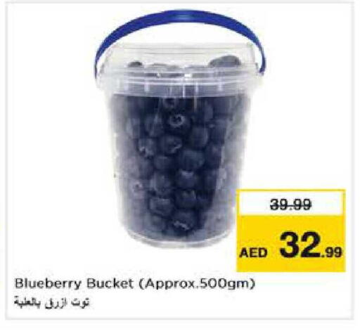 Blueberry BlueBerry available at Nesto Hypermarket in UAE - Dubai