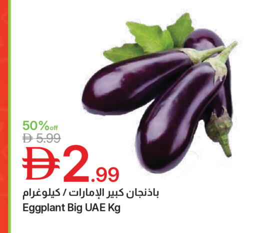 Eggplant available at جمعية الامارات التعاونية in الإمارات العربية المتحدة , الامارات - دبي