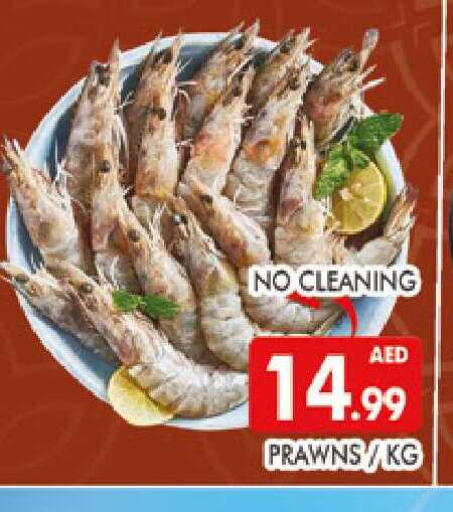 available at المدينة in الإمارات العربية المتحدة , الامارات - دبي