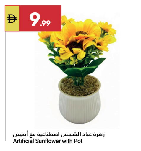 available at جراند الإمارات للتسوق in الإمارات العربية المتحدة , الامارات - أبو ظبي