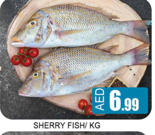 available at لكي سنتر in الإمارات العربية المتحدة , الامارات - الشارقة / عجمان