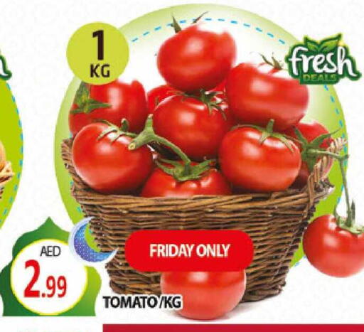 Tomato available at المدينة in الإمارات العربية المتحدة , الامارات - دبي