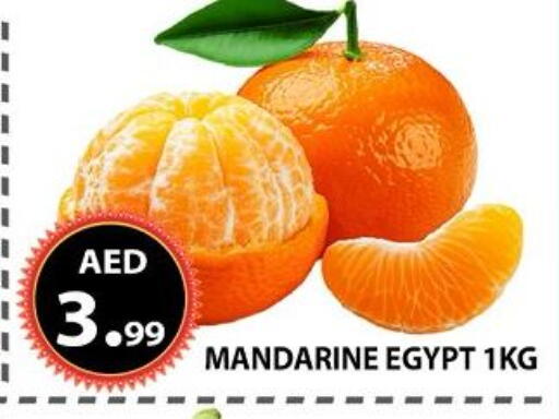 from Egypt available at مركز الوحدة للتخفيضات in الإمارات العربية المتحدة , الامارات - الشارقة / عجمان