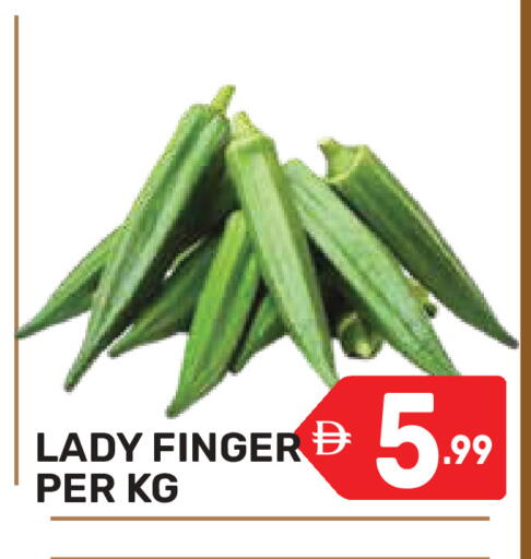 available at دريم نايت هايبرماركت in الإمارات العربية المتحدة , الامارات - دبي