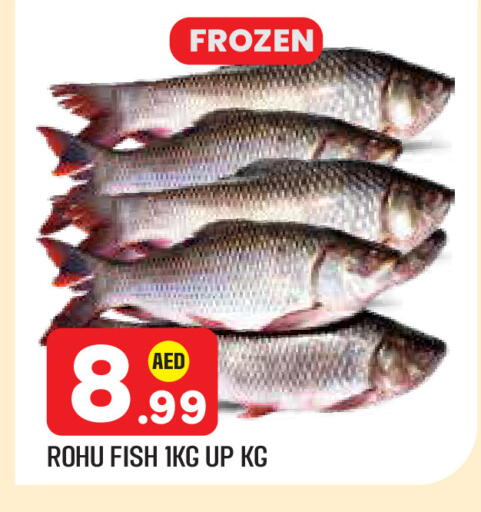 available at سنابل بني ياس in الإمارات العربية المتحدة , الامارات - أبو ظبي