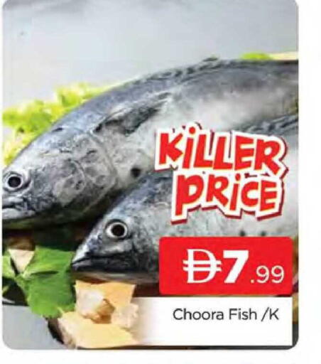 available at المدينة in الإمارات العربية المتحدة , الامارات - دبي