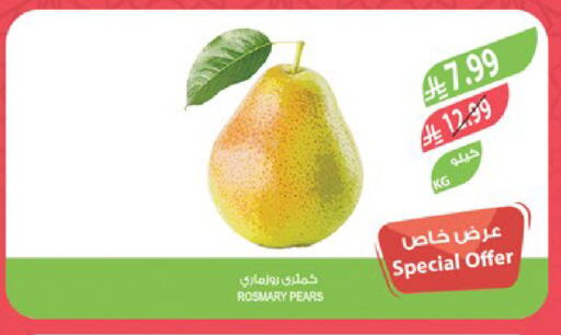 available at المزرعة in مملكة العربية السعودية, السعودية, سعودية - أبها