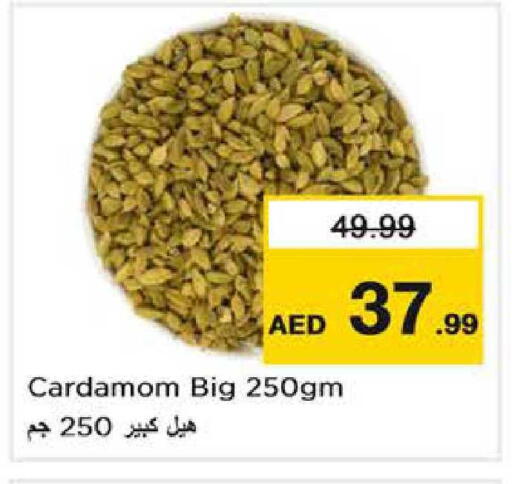 Cardamom available at نستو هايبرماركت in الإمارات العربية المتحدة , الامارات - أبو ظبي