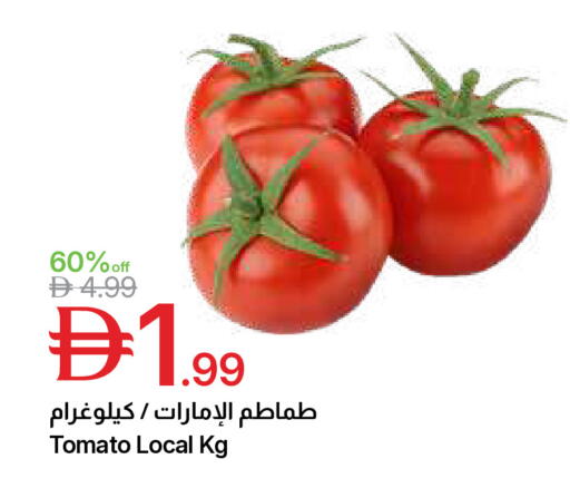Tomato available at جمعية الامارات التعاونية in الإمارات العربية المتحدة , الامارات - دبي