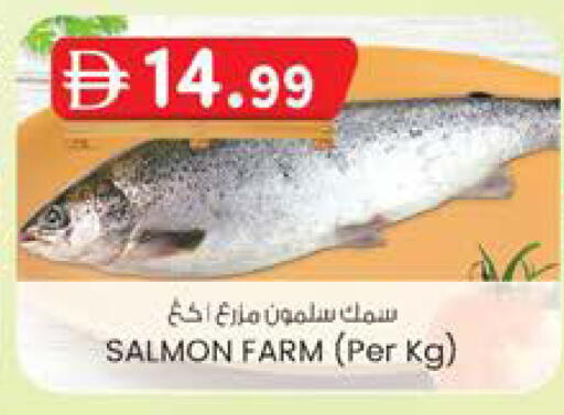 available at K M Trading  in UAE - Dubai