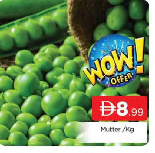 available at المدينة in الإمارات العربية المتحدة , الامارات - دبي