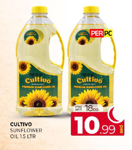 available at المدينة in الإمارات العربية المتحدة , الامارات - الشارقة / عجمان