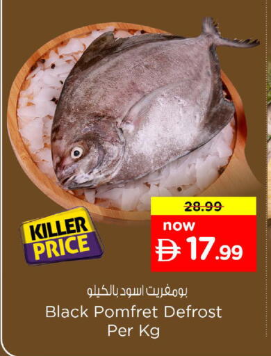 available at Nesto Hypermarket in UAE - Al Ain