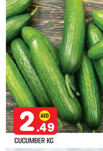 Cucumber available at سنابل بني ياس in الإمارات العربية المتحدة , الامارات - أبو ظبي