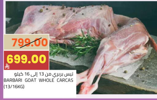 available at Astra Markets in KSA, Saudi Arabia, Saudi - Tabuk