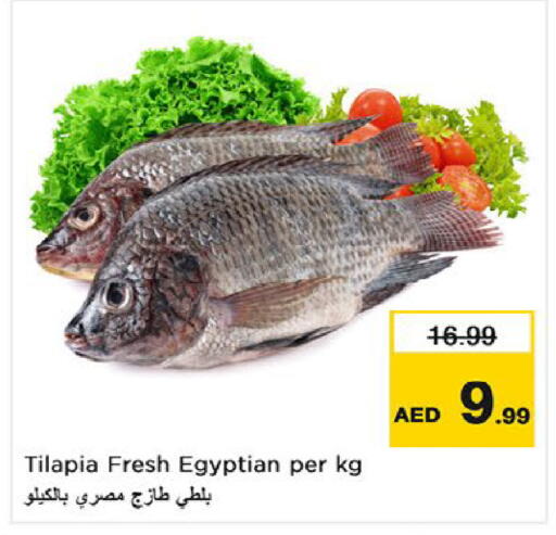 available at نستو هايبرماركت in الإمارات العربية المتحدة , الامارات - ٱلْفُجَيْرَة‎