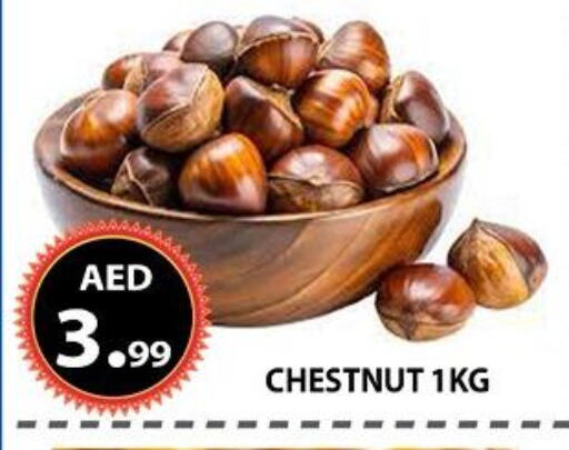 available at AL WAHDA DISCOUNTS CENTRE in UAE - Sharjah / Ajman