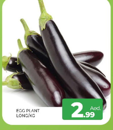 available at المدينة in الإمارات العربية المتحدة , الامارات - الشارقة / عجمان