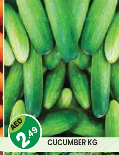 Cucumber available at Baniyas Spike  in UAE - Umm al Quwain