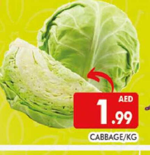 Cabbage available at المدينة in الإمارات العربية المتحدة , الامارات - دبي