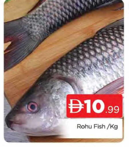 available at المدينة in الإمارات العربية المتحدة , الامارات - دبي