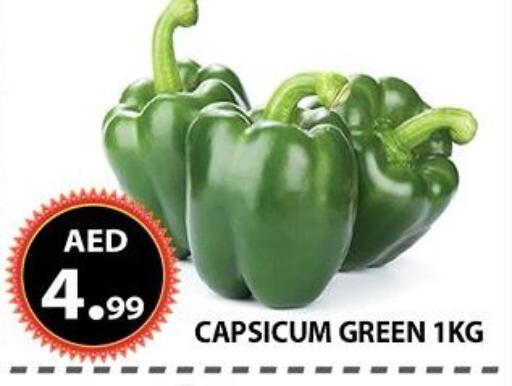 Capsicum available at مركز الوحدة للتخفيضات in الإمارات العربية المتحدة , الامارات - الشارقة / عجمان
