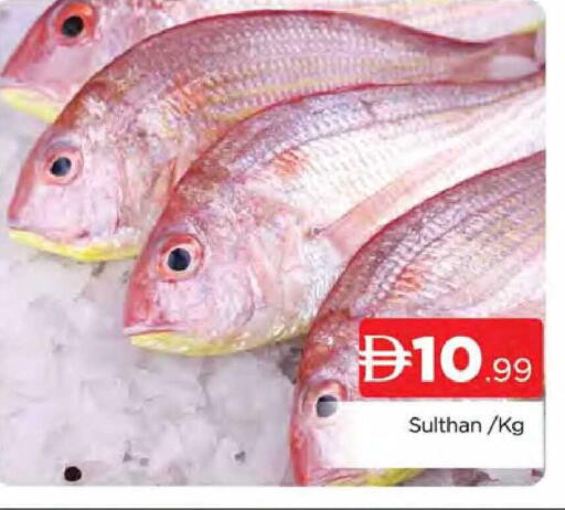 available at المدينة in الإمارات العربية المتحدة , الامارات - دبي