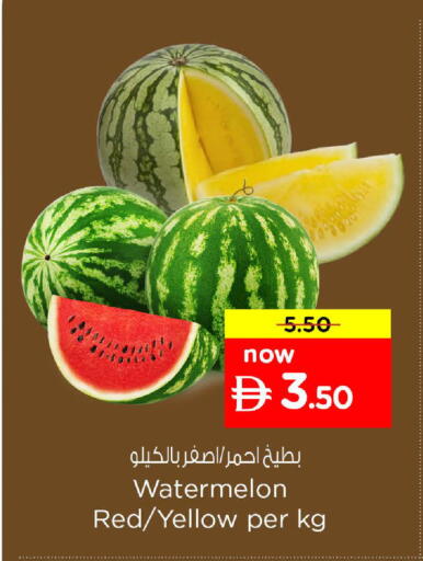 Watermelon available at نستو هايبرماركت in الإمارات العربية المتحدة , الامارات - ٱلْعَيْن‎