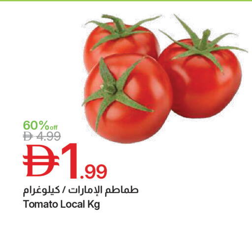 Tomato available at جمعية الامارات التعاونية in الإمارات العربية المتحدة , الامارات - دبي
