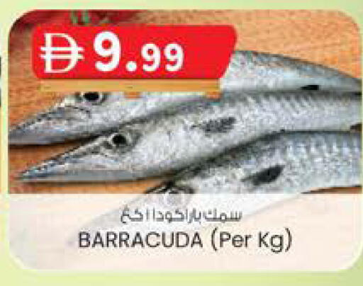 available at ك. الم. للتجارة in الإمارات العربية المتحدة , الامارات - ٱلْفُجَيْرَة‎