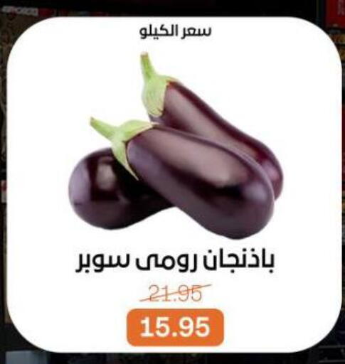 available at بيت الجملة in Egypt - القاهرة