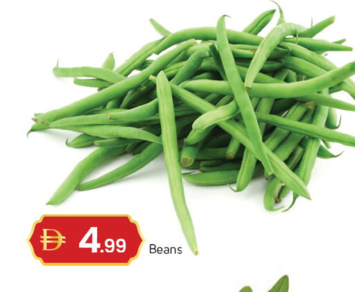 available at سوق طلال in الإمارات العربية المتحدة , الامارات - دبي