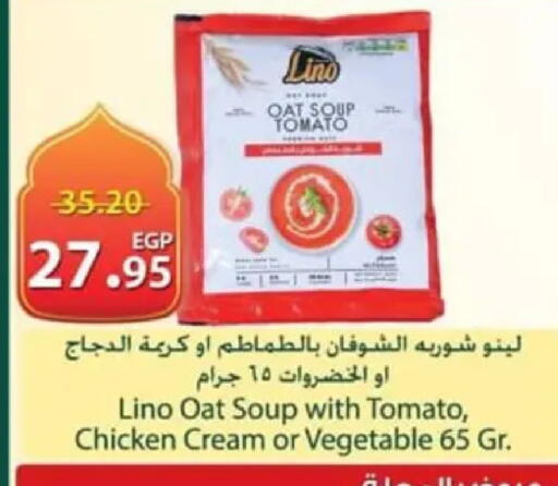 Tomato available at سبينس in Egypt - القاهرة
