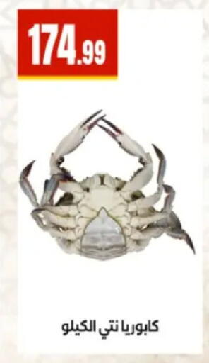 available at المحلاوي ستورز in Egypt - القاهرة